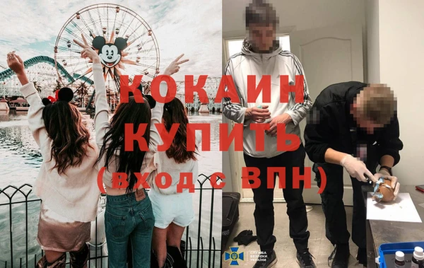 стафф Касимов