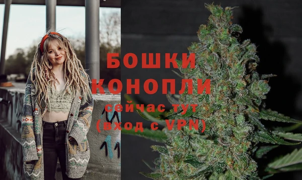 дживик Карпинск