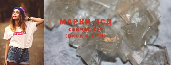 стафф Касимов