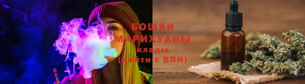 стафф Касимов