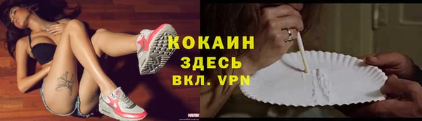 стафф Касимов