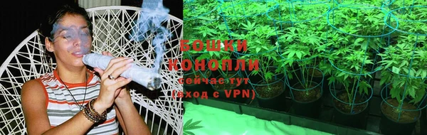 дживик Карпинск