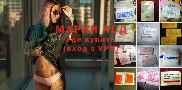 дживик Карпинск