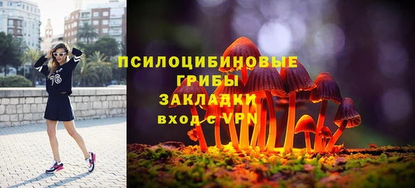 дживик Карпинск