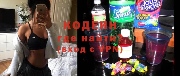 стафф Касимов